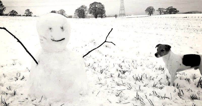 learn English with art Strathearn Snowmen everyone is beautiful