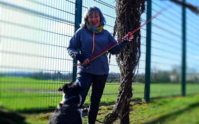 Perthshire Artist June McEwan Interview