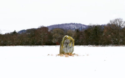Crieff Standing Stone | Visit Perthshire