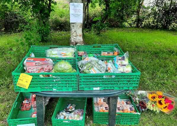 English Language School Food Drop at Crieff Community Gardens ecotourism in Perthshire