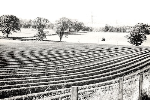 tractour ploughing field near Crieff