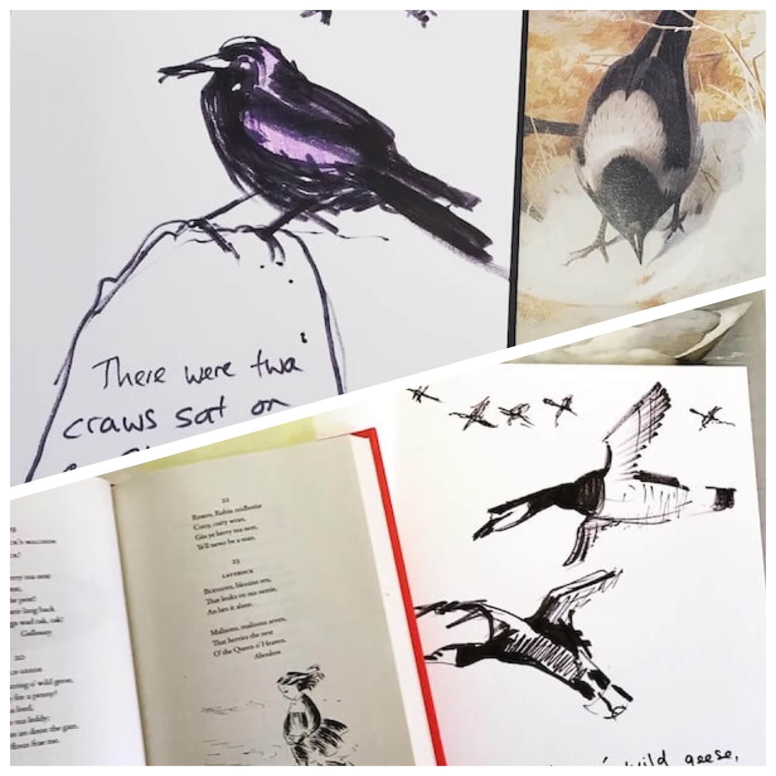 English Language School social event | Burns Night 2021 illustration of bird poem