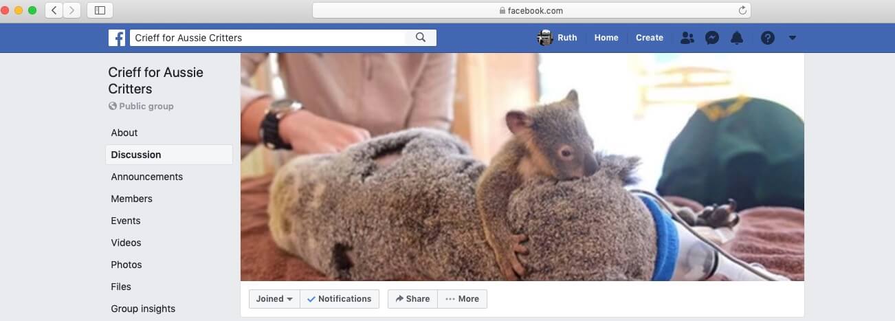 independent English language School Aussie Critters Facebook cover