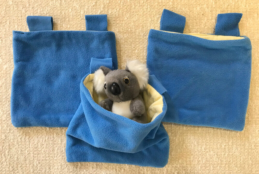independent English language School Aussie Critters Facebook koala pouches