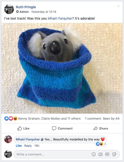 independent English language School Aussie Critters Facebook koala pouches