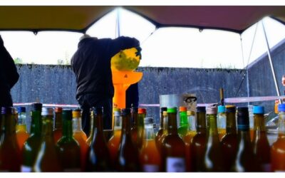 Sample English Excursion | Comrie Apple Festival