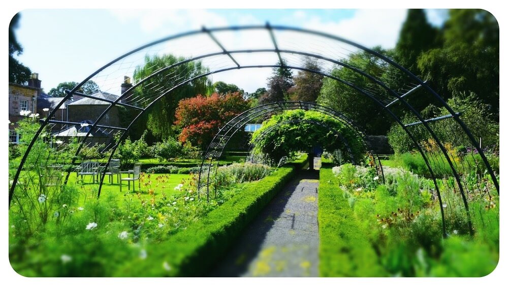 The Bield | Garden | Perthshire Artists | POS