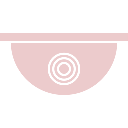 Language School privacy policy CCTV icon