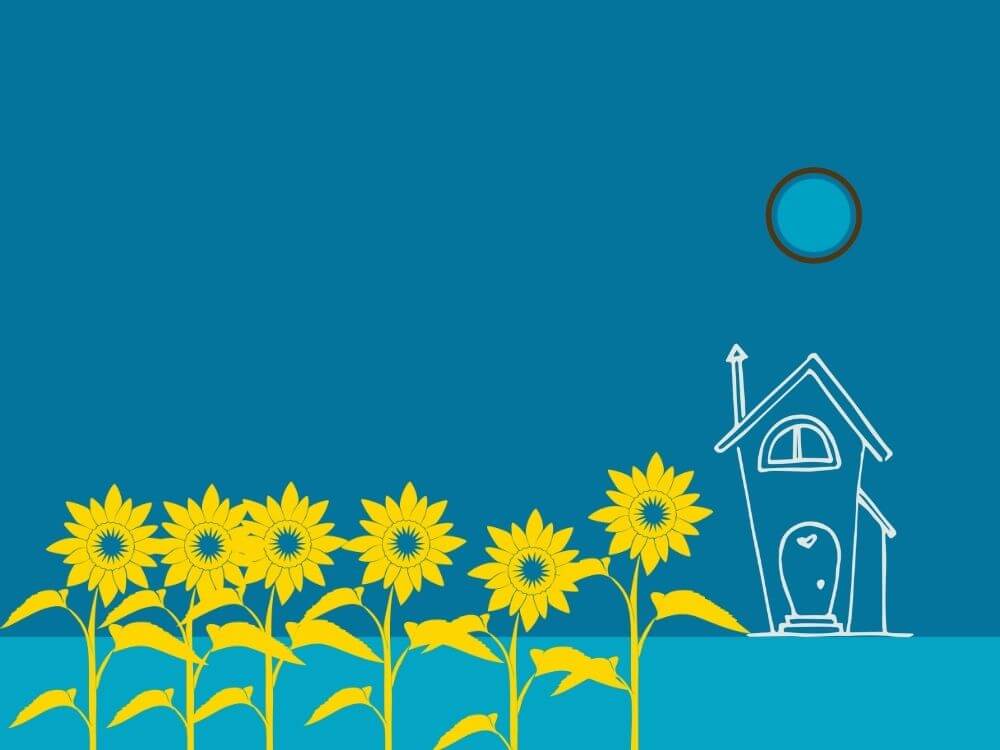 Easy Ways to Help Ukrainians Learn English - sunflowers