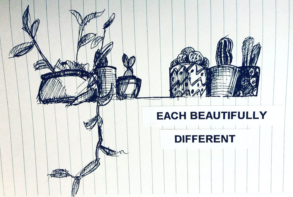 Explore how plants help learn language on our English holidays, supporting real-world practice through comfort, calm, and meaningful connection.