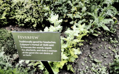 Non-Traditional Language School – Herbalism