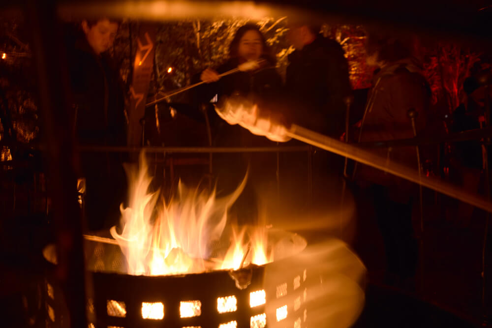 Enchanted Forest in Pitlochry - fire and marshmallows
