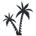 icon palm tree