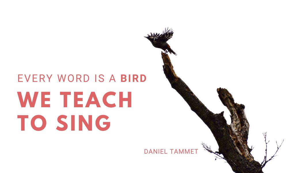every word is a bird we teach to sing