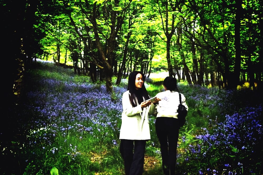 English immersion holiday in scotland with student and scottish bluebells