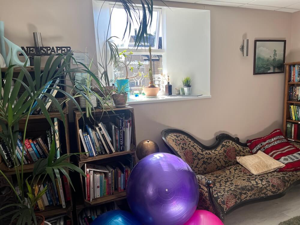 inside blue noun language hub with exercise balls