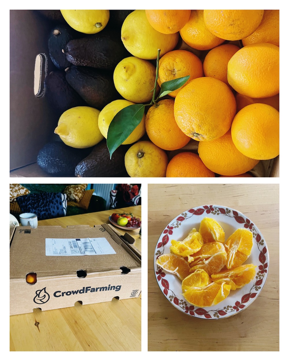 Crowdfarming fruit - oranges, lemons and avocados 