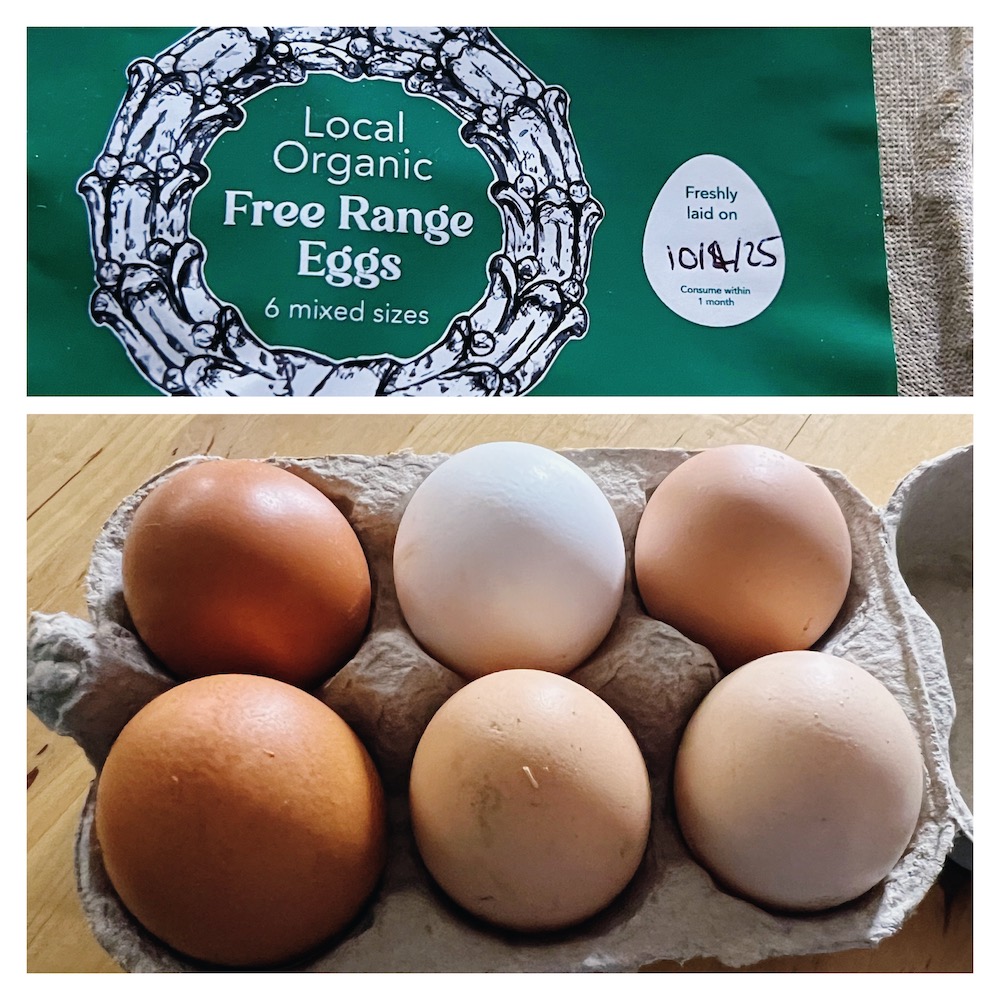 free range eggs for sustainable tourism language holiday