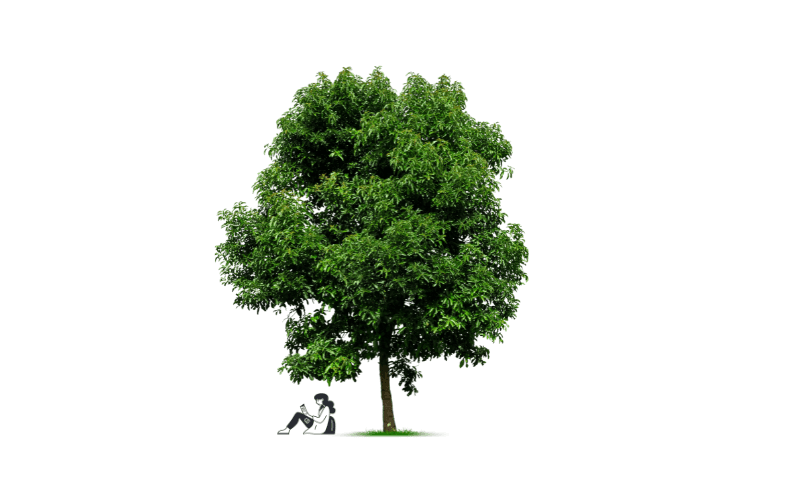 girl sitting under tree