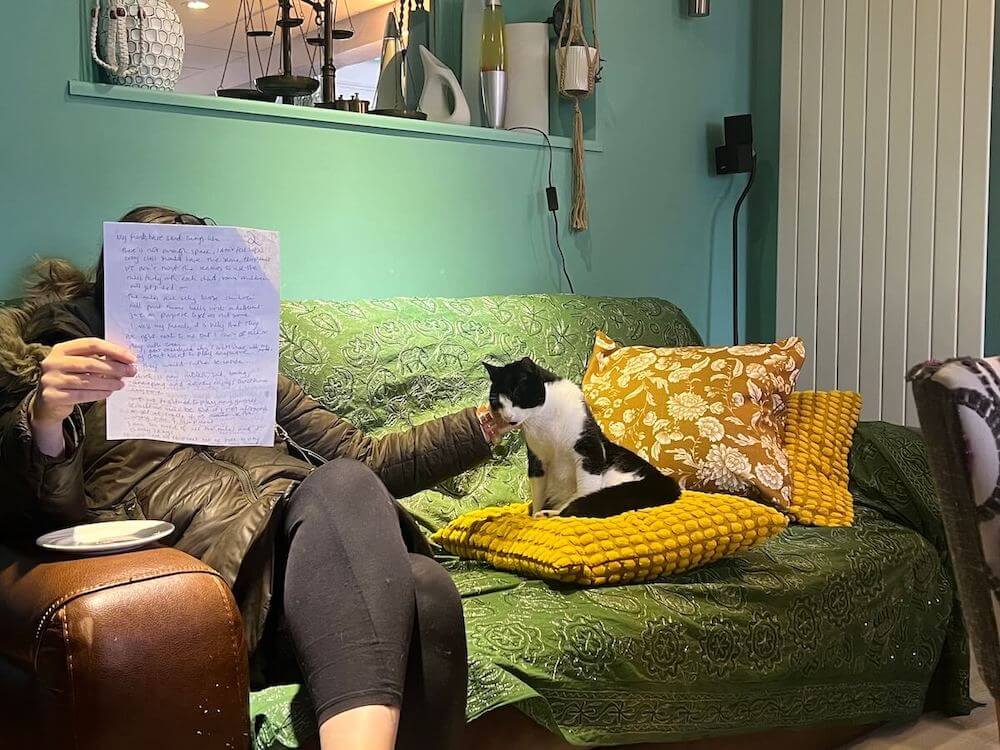 Cats in a language school - your right to be comfortable and feel good.