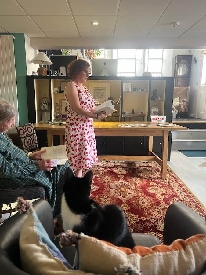 Cats in a language school - your right to be comfortable and feel good.