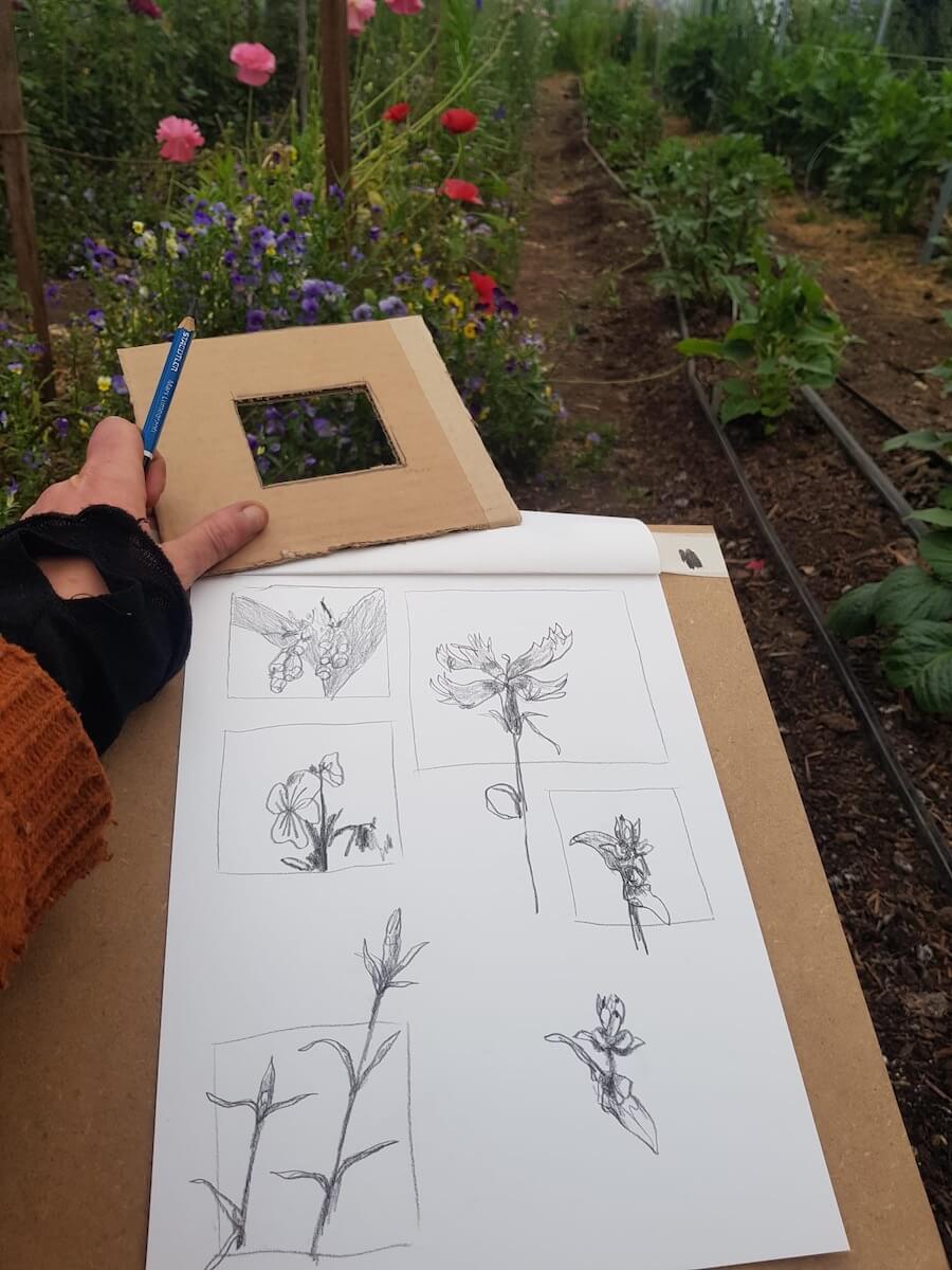 Sketch Scotland Drawing flowers in a drawing and language holiday. 