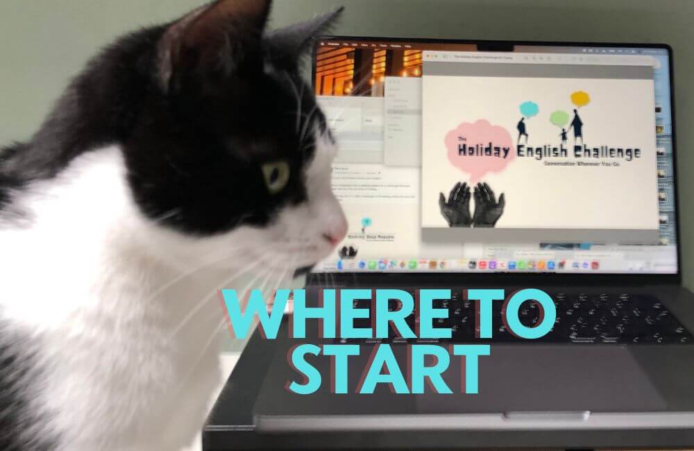 How_to_start_Searching_ for_Language_holiday cat and computer for searching for a language school holiday
