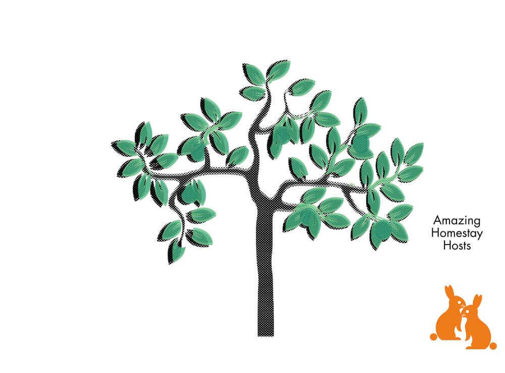 How Blue Noun English Holidays Are Structured - tree diagram homestay hosts