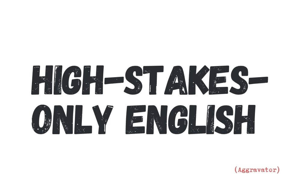 High-stakes-only English — a dictionary term for how English feels when it is used mainly in situations with judgement and consequences.