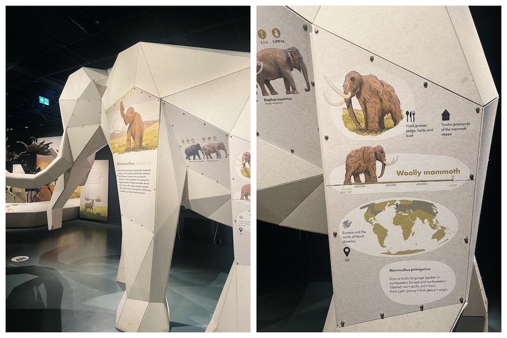 Giants exhibition at National Museum of Scotland wooly mammoth sculpture