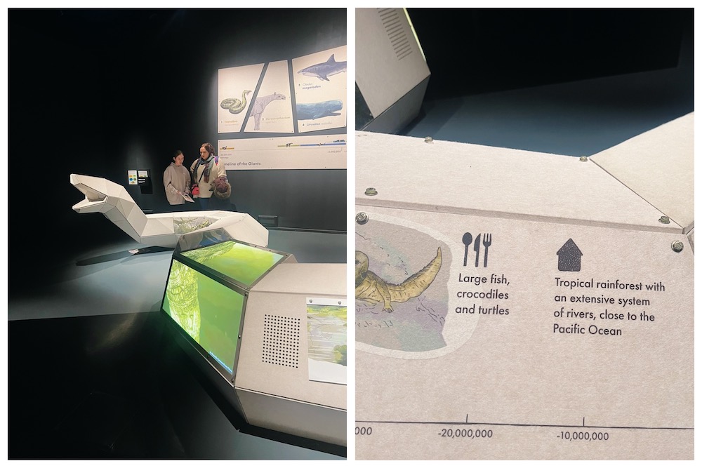 Giants exhibition at National Museum of Scotland giant snake sculpture