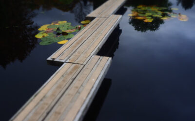 The Reset Button | Changing How English Feels