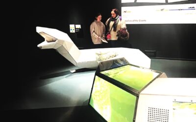 Is Culture Just a Break on Your Language Course Holiday?