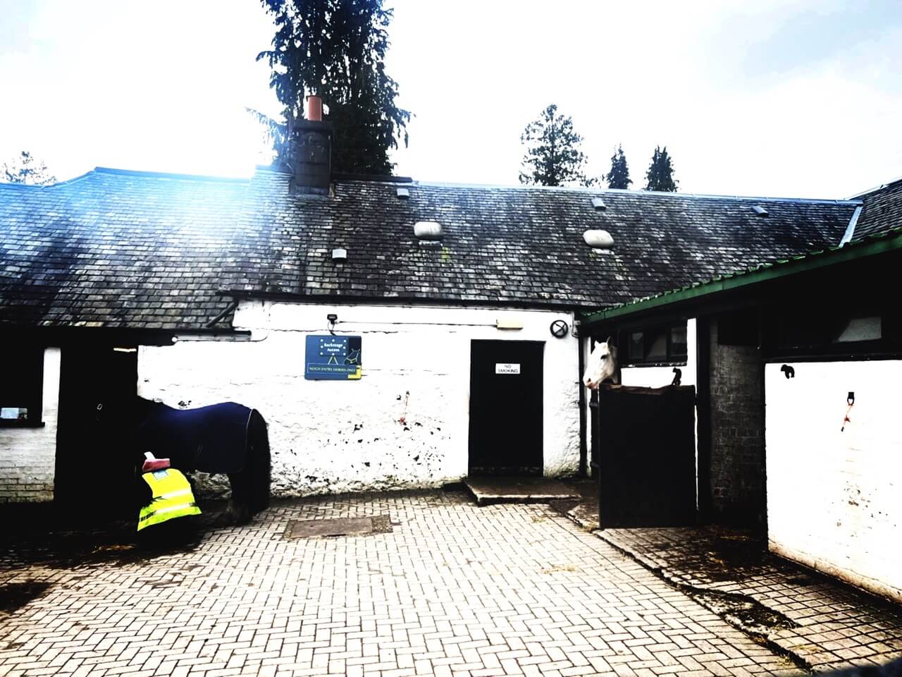 riding stables at Crieff hydro