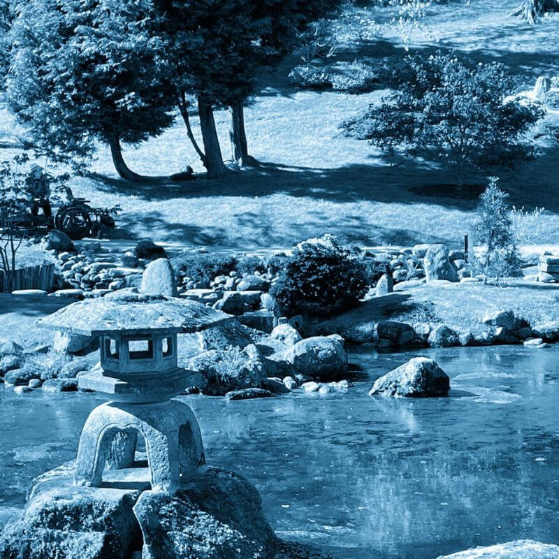 The Japanese Garden near Stirling cyan tint