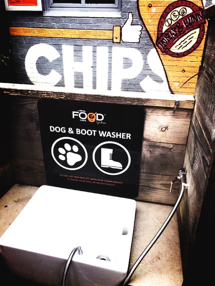 real food cafe dog washing station