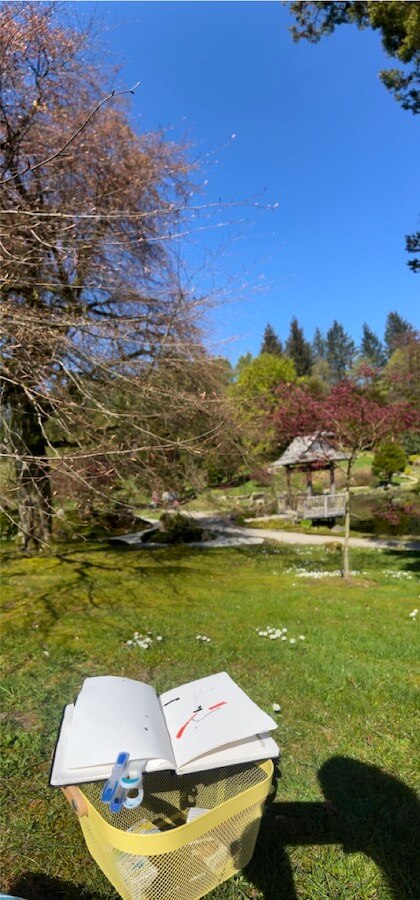 drawing activity at the Japanese Garden Cowden near Stirling