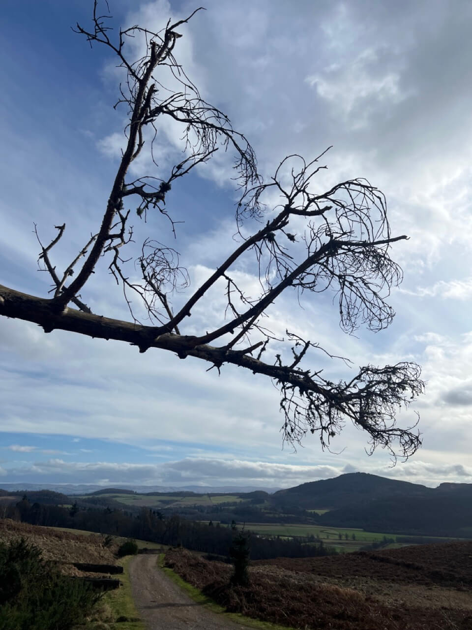Nature walk at Comrie Croft Perthshire