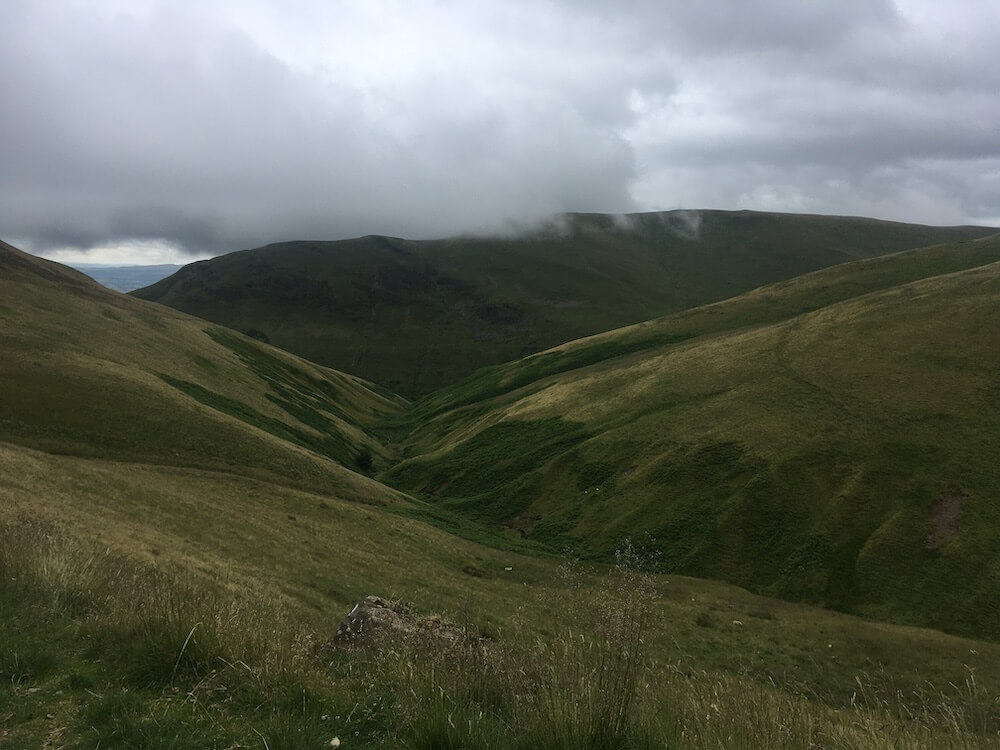 Expert-led nature walk in Perthshire, observing landscape and wildlife