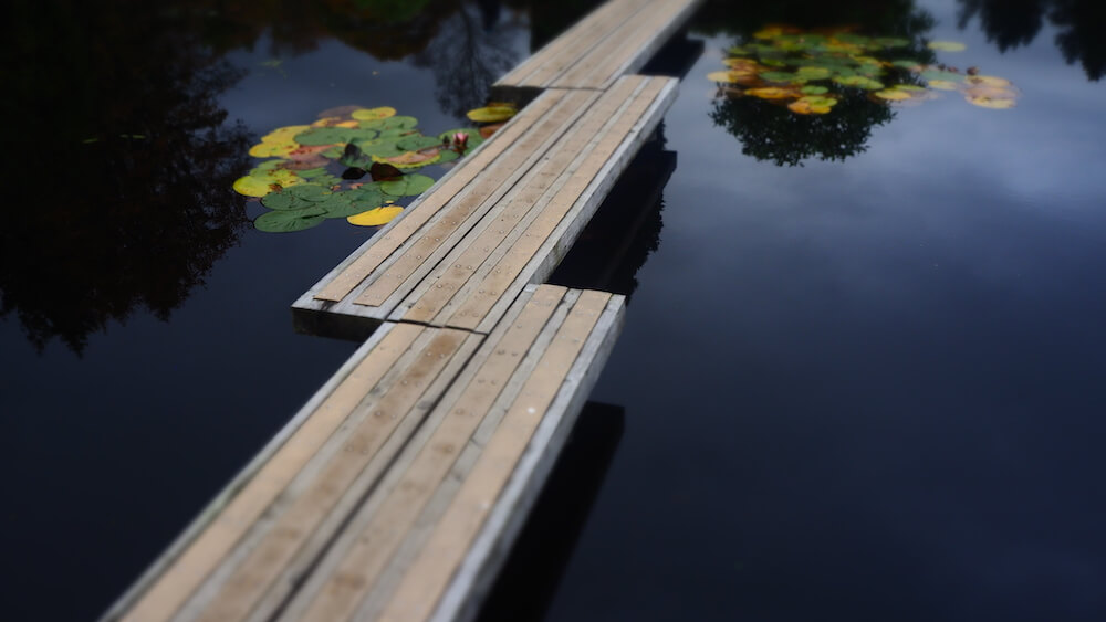 the boardwalk at the Japanese Garden Dollar - beautiful and calm, with waterlillies