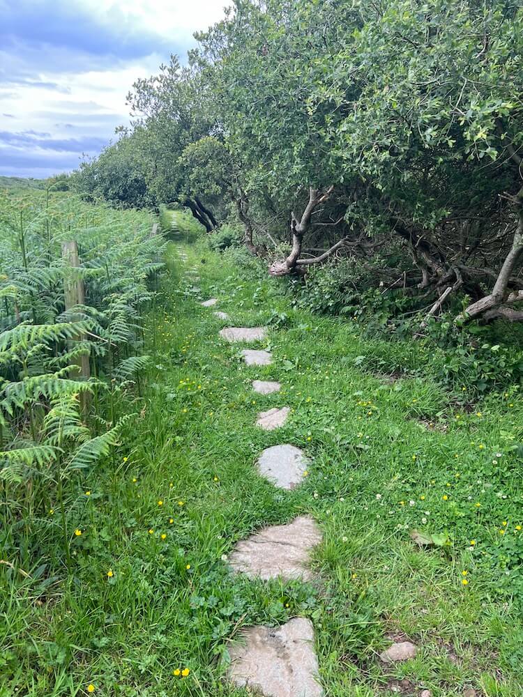 stepping stones on the Isle of Gigha