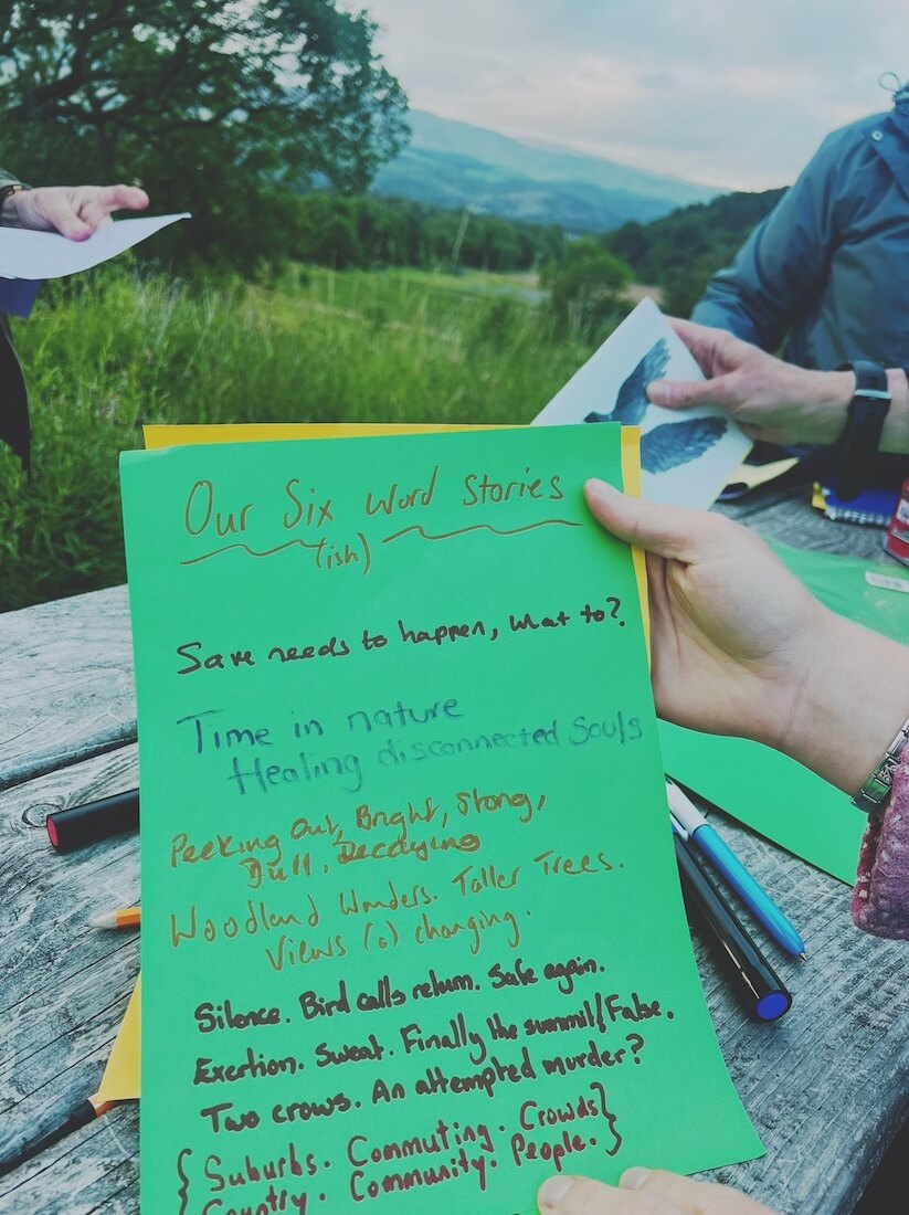 6 word story, Comrie Community Woodland nature and storytelling walk