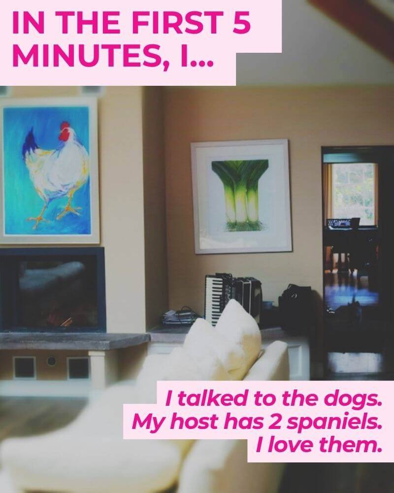 English homestay experience first 5 minutes spaniels