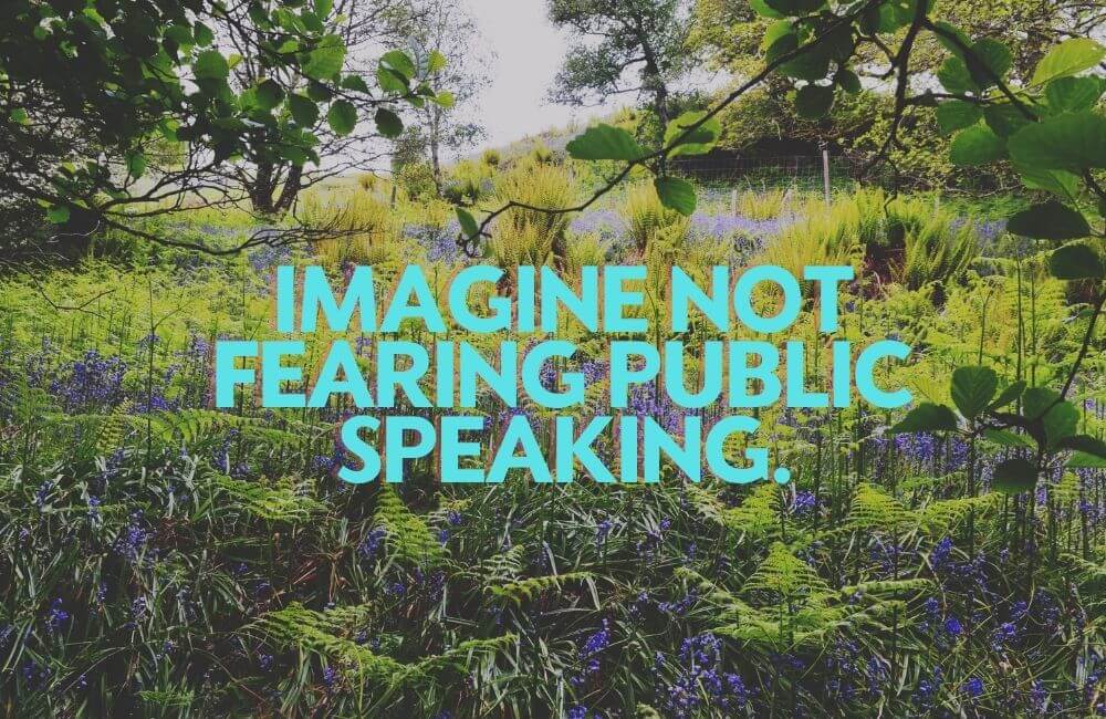 imagine not fearing public speaking