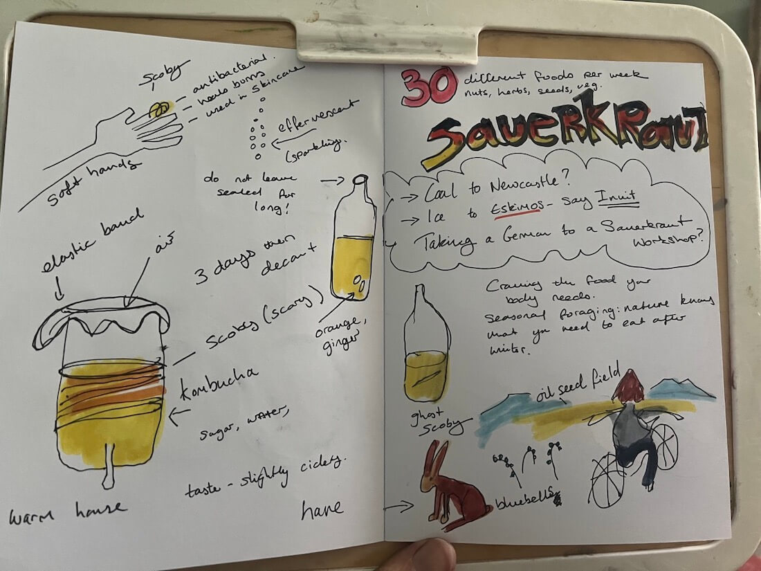 sauerkraut workshop sketchbook page 