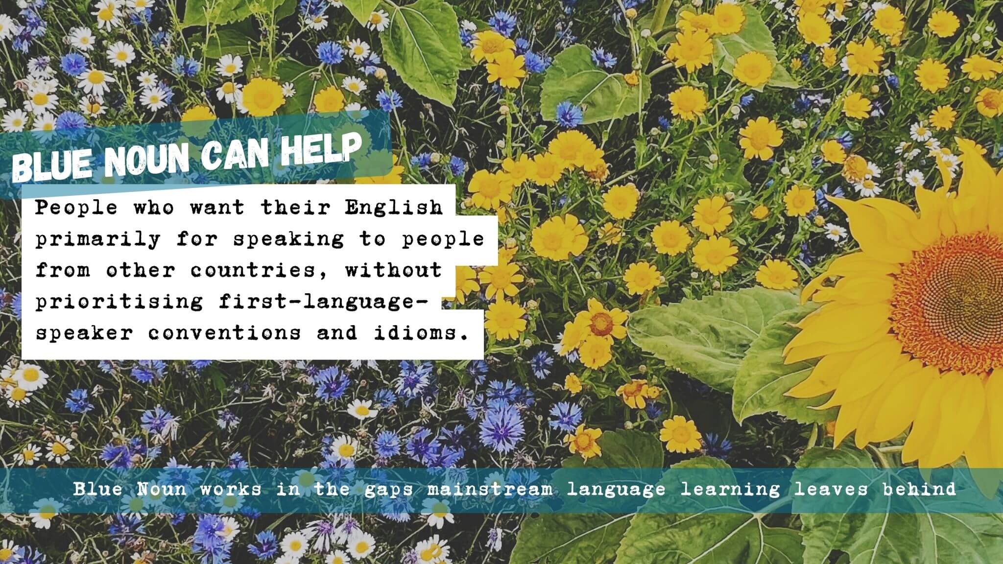 Sunflower image representing people who use English to communicate with other second-language speakers internationally