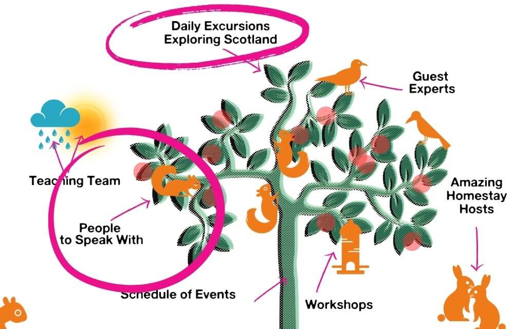 english-language-holiday-immersion-learning-scotland-diagram Blue Noun English language holiday diagram showing how daily excursions and activities create opportunities for real-world English conversations alongside workshops, guest experts, homestay hosts and teaching support.