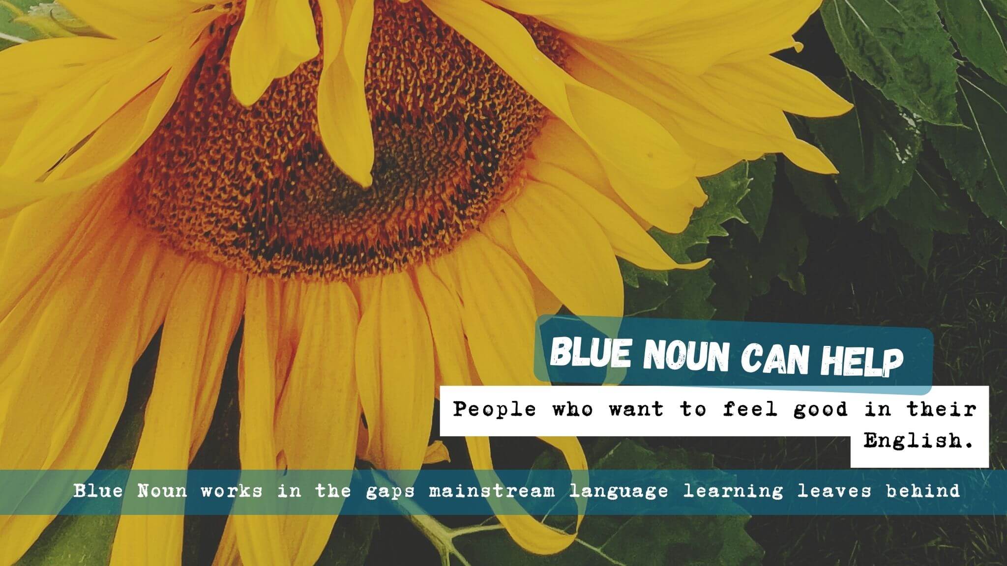 Sunflower image representing people who want to feel good speaking and using English