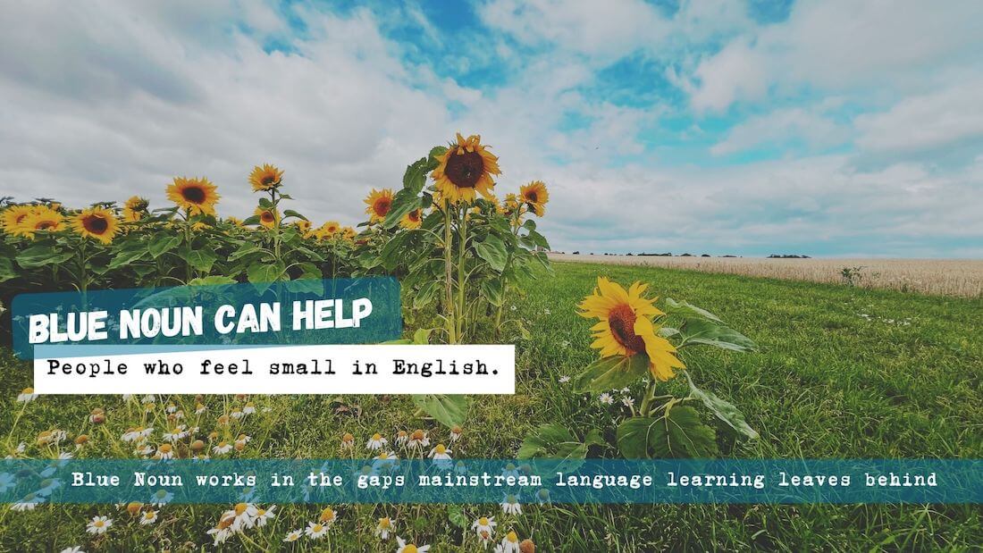 feel-small-speaking-english-blue-noun Sunflowers beside a field under a blue sky with Blue Noun text about feeling small when using English.
