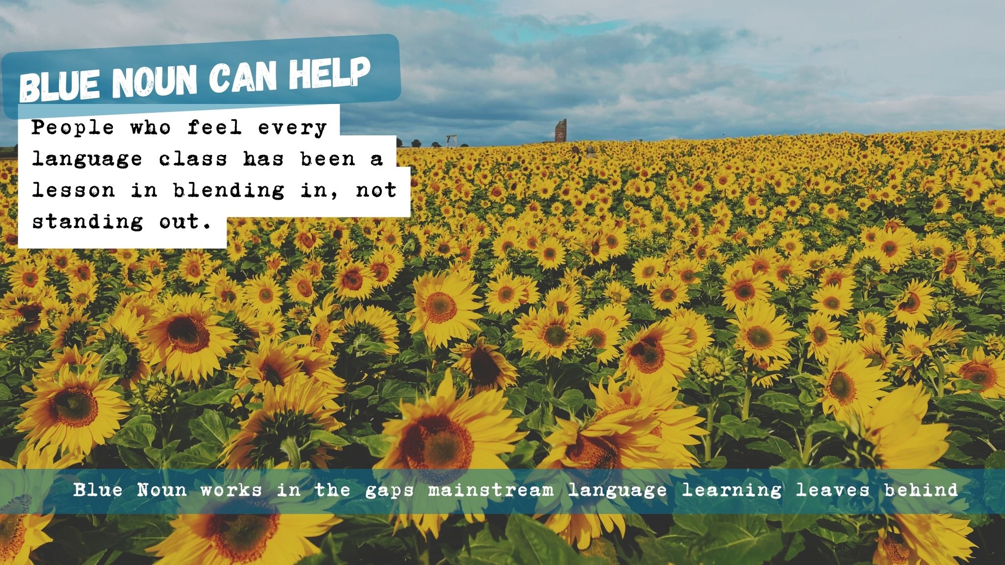 A large field of sunflowers with the words: “Blue Noun can help people who feel every language class has been a lesson in blending in, not standing out.”